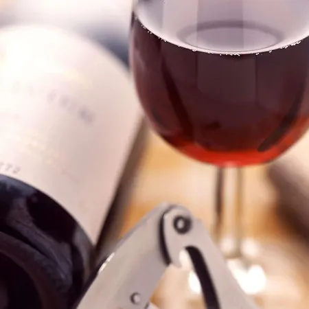 Ibis Chateau De מלון