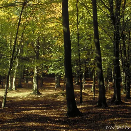 Ibis Chateau De מלון פונטנבלו