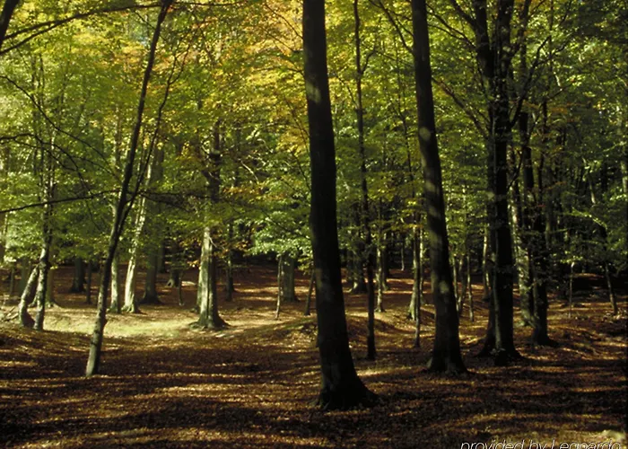Ibis Chateau De Hotel Fontainebleau